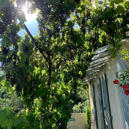 Bed & Breakfast Petit Coin De Paradis 4*