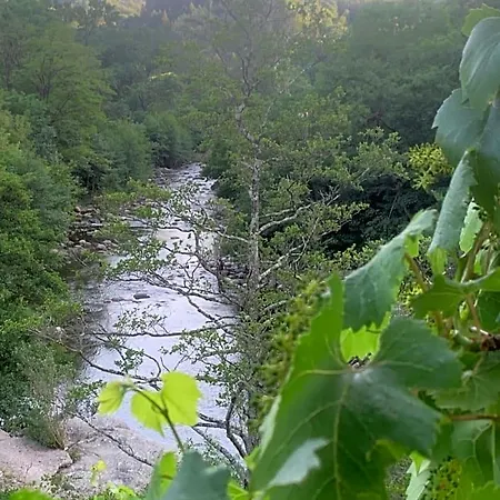 Petit Coin De Paradis